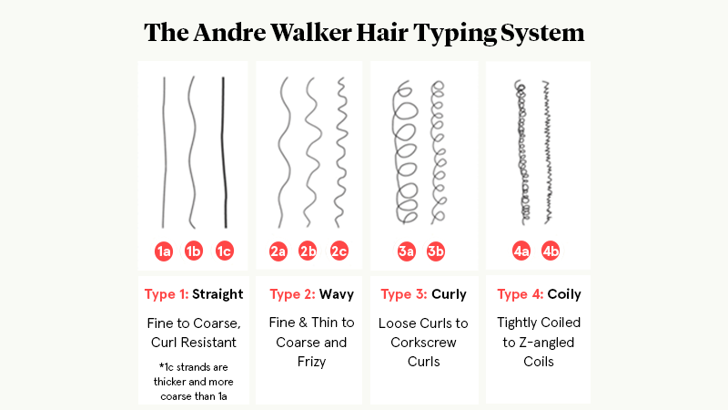 Male Face Shape Diagrams
