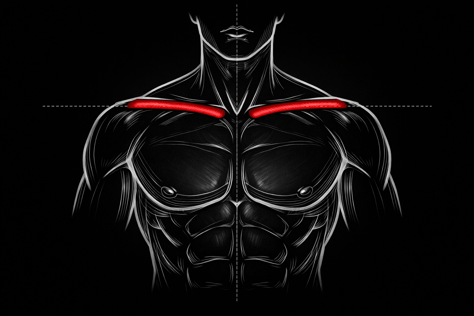 Cómo la longitud de la clavícula da forma a tu estructura
