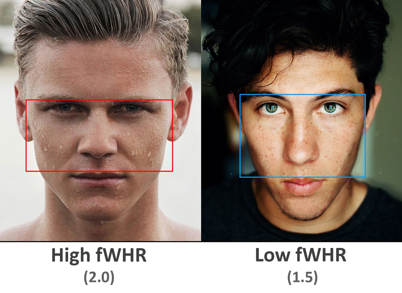 Facial Width to Height Ratio (FWHR): The Power Ratio